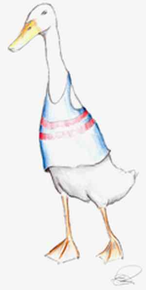 Runner Duck